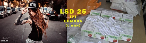ПСИЛОЦИБИНОВЫЕ ГРИБЫ Лабытнанги