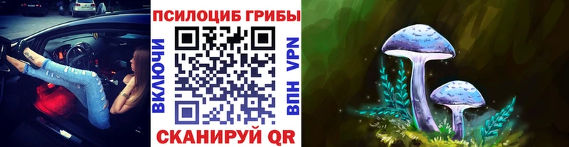 Псилоцибиновые грибы GOLDEN TEACHER  Купить  Фролово 