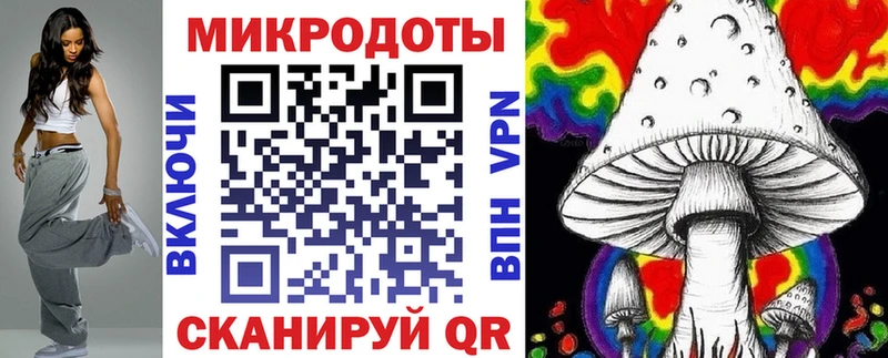 Псилоцибиновые грибы Psilocybe Фролово