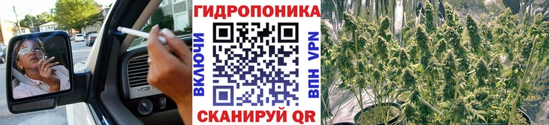 Купить  Фролово  Шишки марихуана планчик 